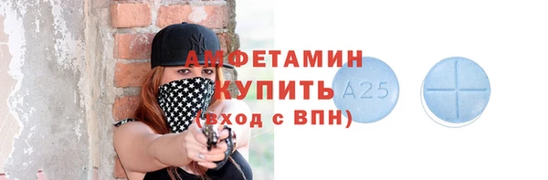 амф Гусиноозёрск