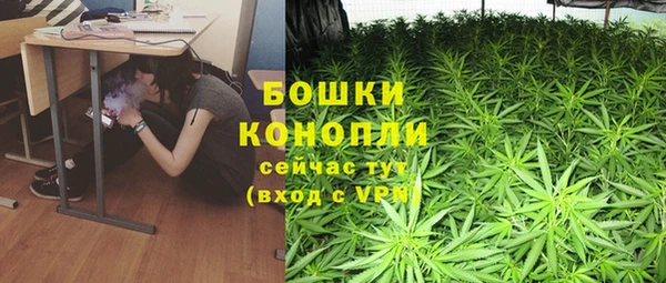 мдпв Гусь-Хрустальный