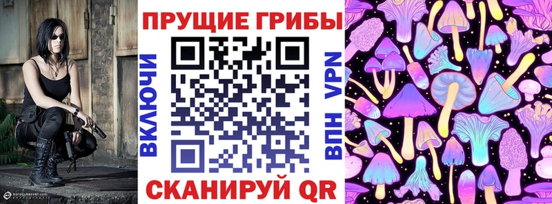 закладки  Пестово  Псилоцибиновые грибы мицелий 