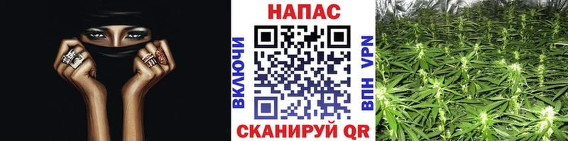 Канабис MAZAR  Пестово 